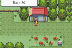 pokemon liquid crystal español ruta 30